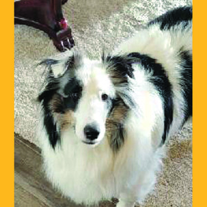 Fundraising Page: Deana Flessner